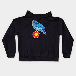 Colorado bluebird sky Kids Hoodie